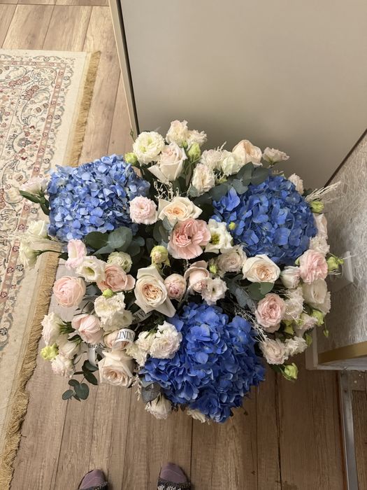 Продам цветы недорого