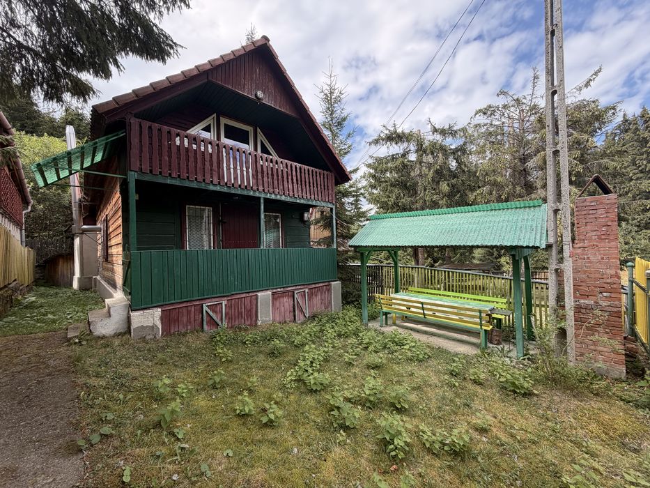Cabana de vânzare in Muntele Baișorii