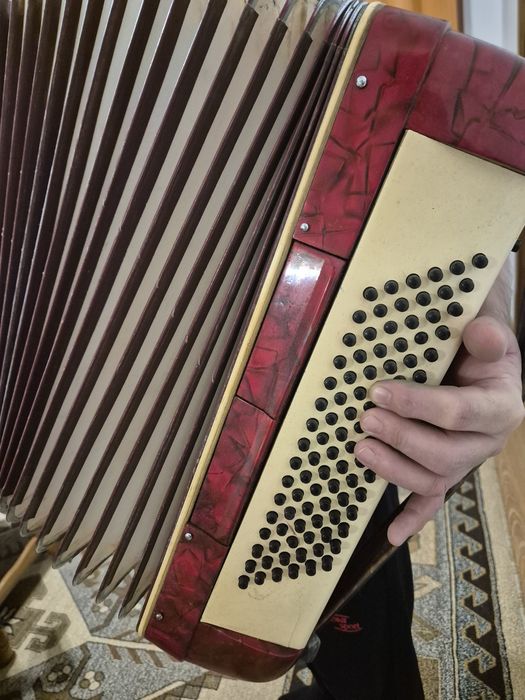 Vand Acordeon Parrot