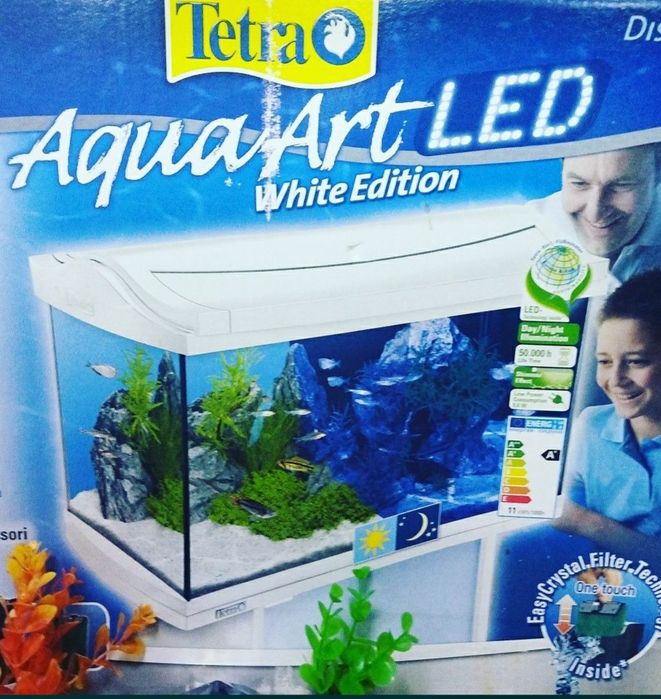 Аквариумная рыбка  в Афалине