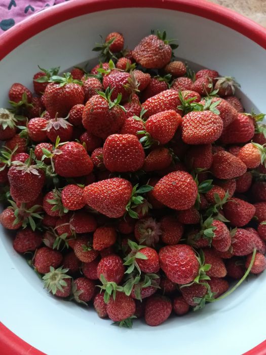 Продам клубнику.