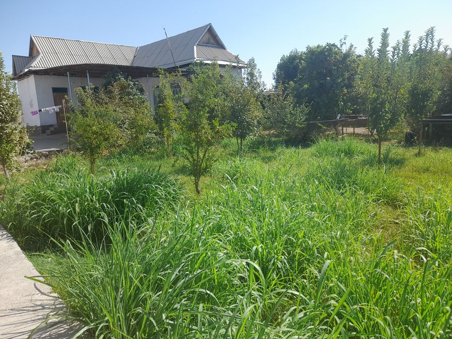 Hovli sotiladi.  Hamma  sharoiti  bor.