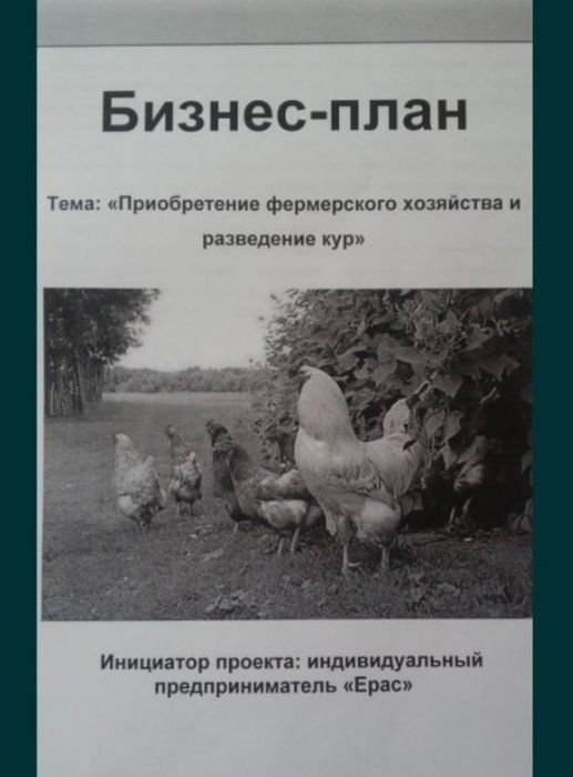 Бройлер балапандары