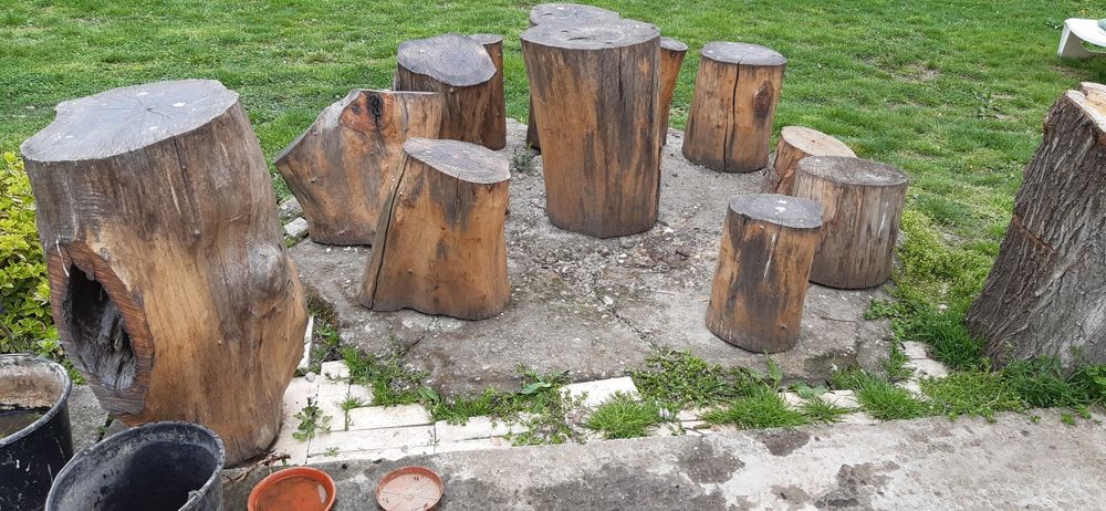 Trunchi (Butuci) din Nuc