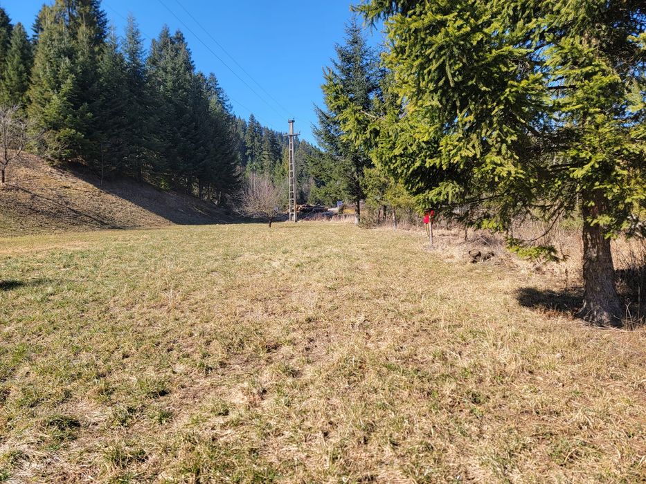 Teren intravilan cu o suprafata de 42 de ari in SUCEVITA.