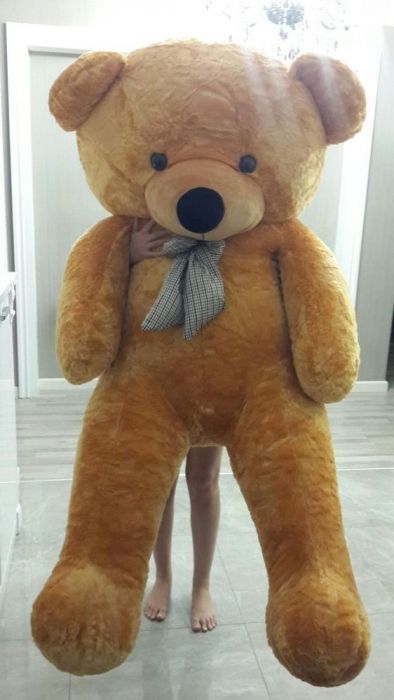 Панды панда Алматы плюшевые мишки