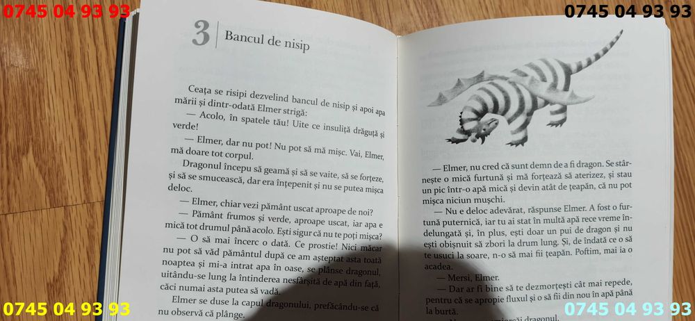 carte carti Dragonul tatalui meu de ruth stile