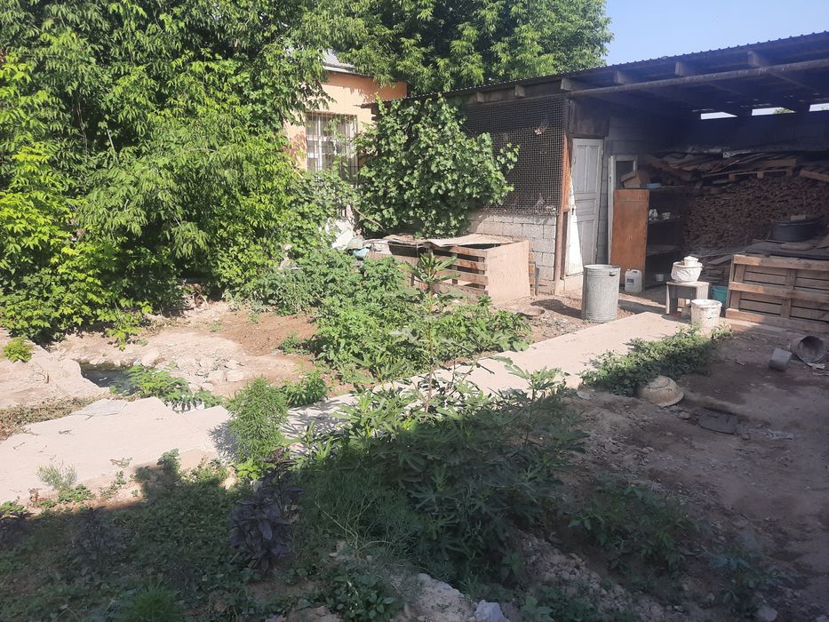 Продам дом  в старом городе