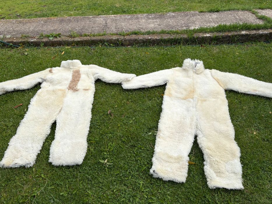 Сурвакарски костюми