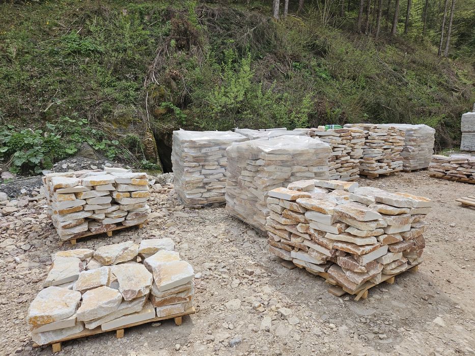 Pasi japonezi gradina ,pisica ovali  ardezie pavat ornamental decoratv