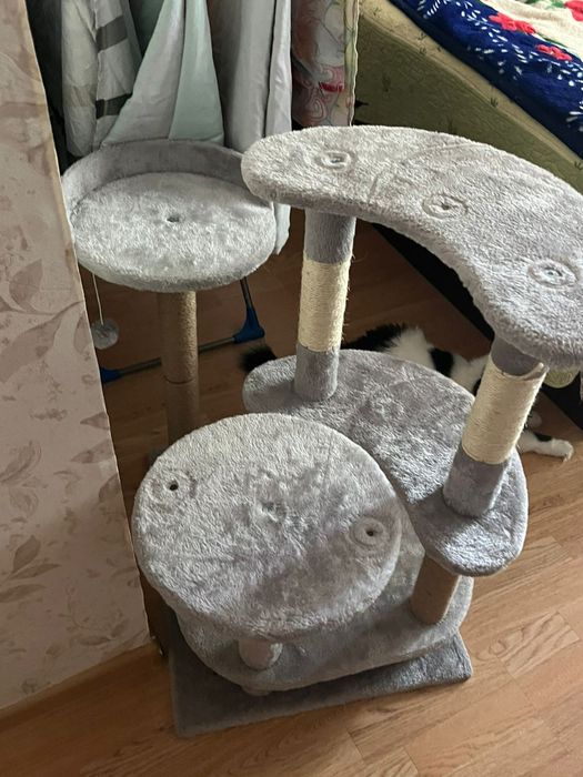 Когтеточка для кошек