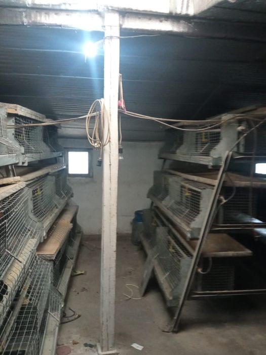 Клетка для птицы