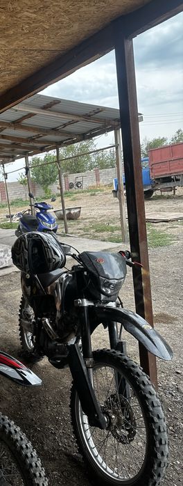 Эндура 06 горный