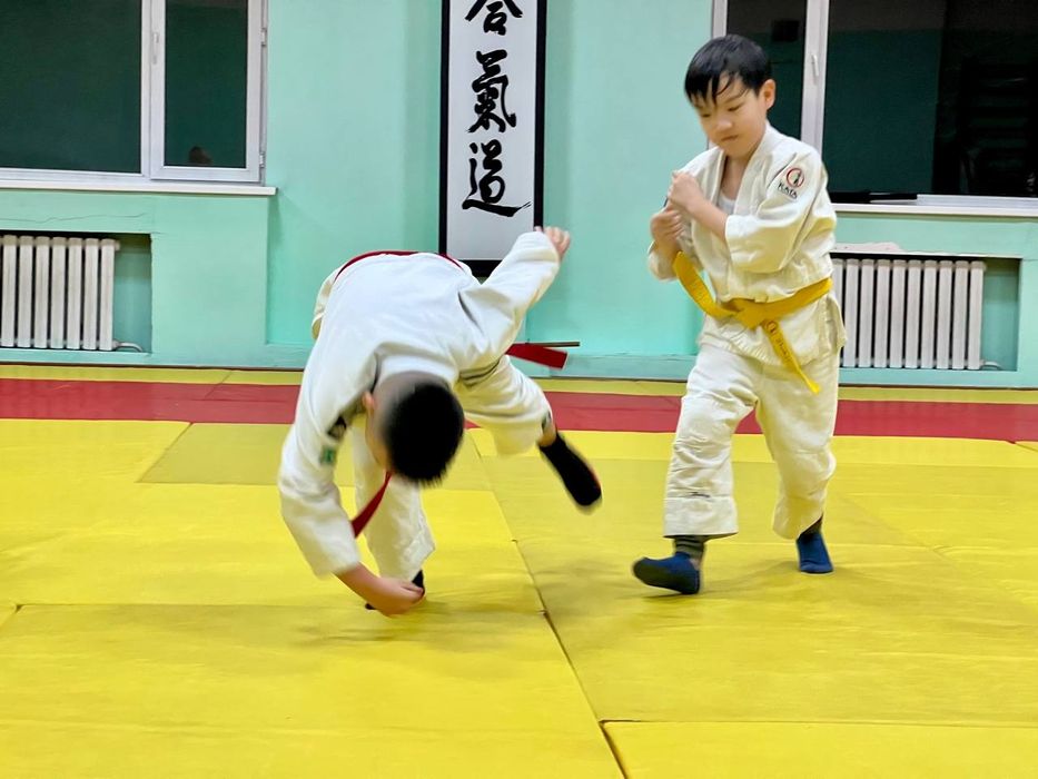 Айкидо для Детей и Подростков