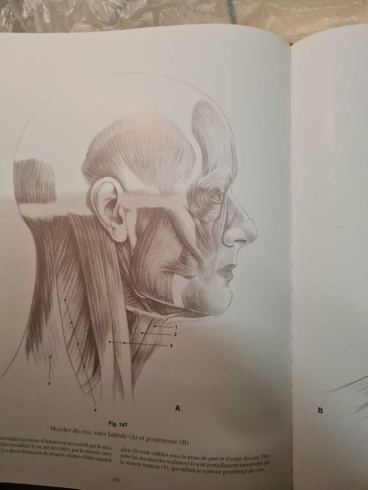 Carte rară – Anatomie Artistică Szunyoghy (2007)