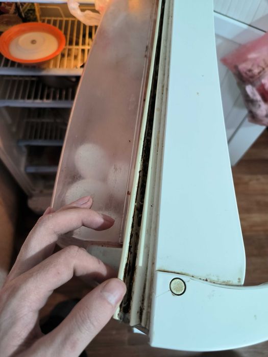 Продам холодильник Indesit R36NFG