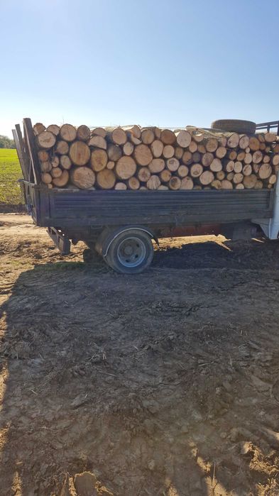 Lemn de foc esenta tare si moale