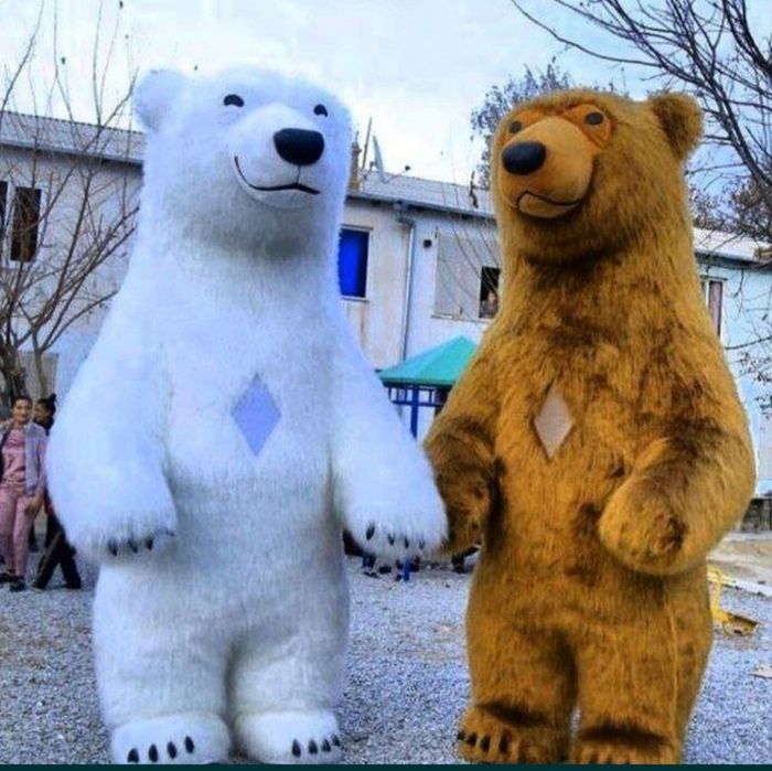Afarmleniya 300ming som Ayiqlar animator 150ming som