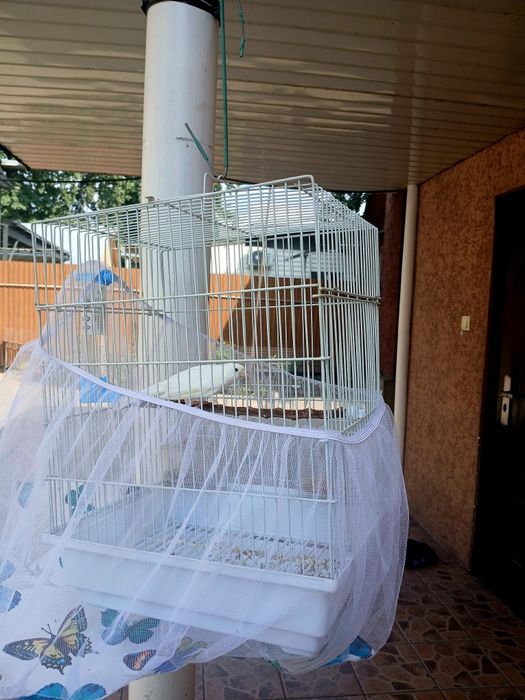 Кенор Кенор Кенор