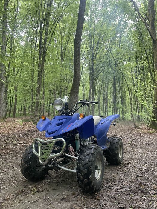 Vand atv bashan 200