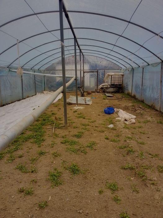 Продаю теплицу готовую