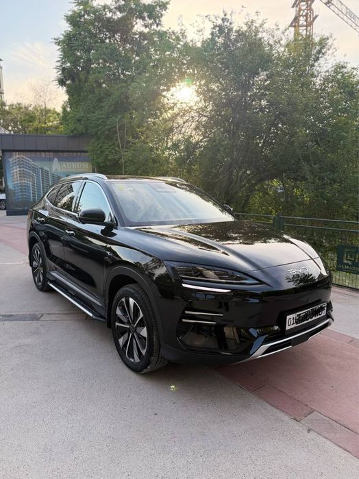 Byd champion smart 2025 yil