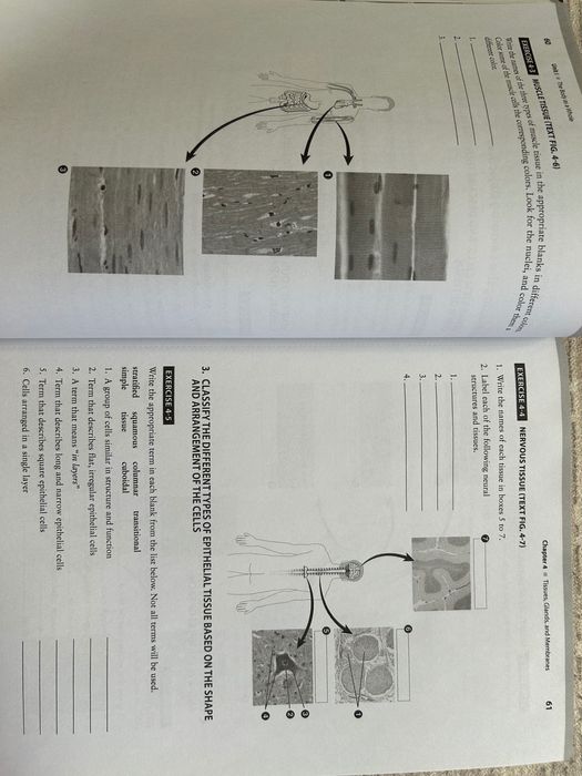 Study Guide for Memmler's Structure & Function of the Human Body