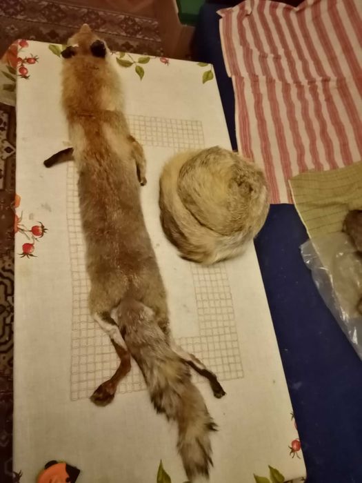 Дамска яка от цяла лисица