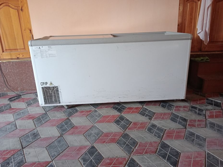 Morozelnik. Hair. Kottasi.