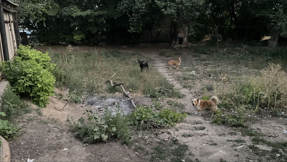 Продам времянку выше колледжа