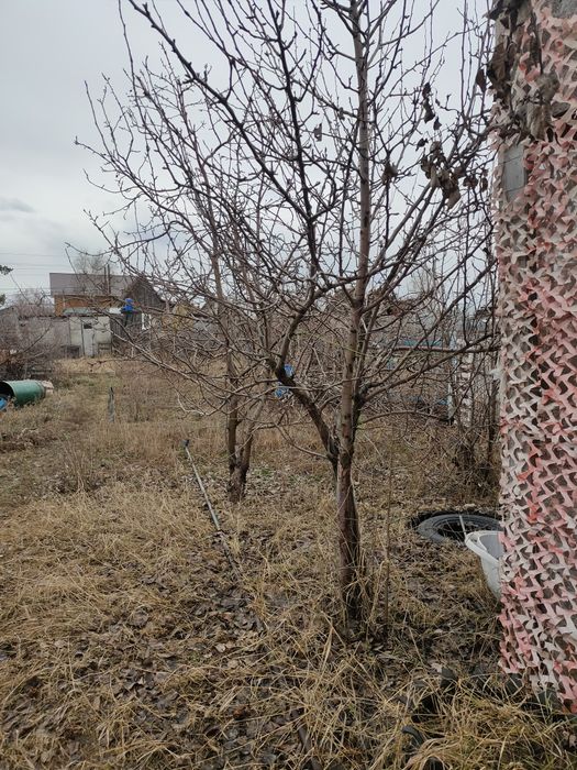 Продается Дача.Железобетонщик.