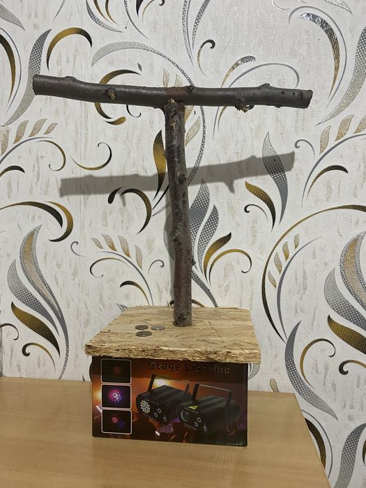 продам попугаев, клетки, стенды, все вместе 30к