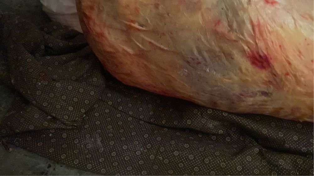 Бие даланын сатылады