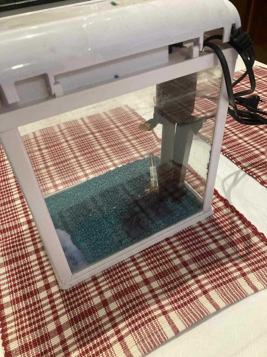 Аквариум за риби