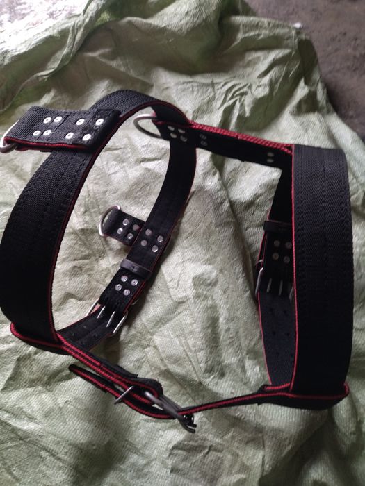 Шлейка для собак