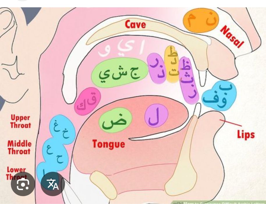 Курсы по таджвиду
