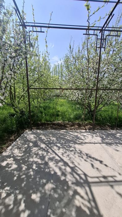 Уй ховли участка