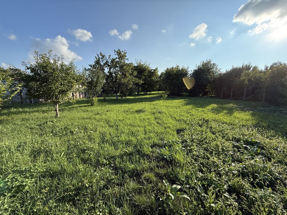 Ofer spre Vanzare Teren intravilan zona Titulescu 3.000 mp ( 30 Ari )