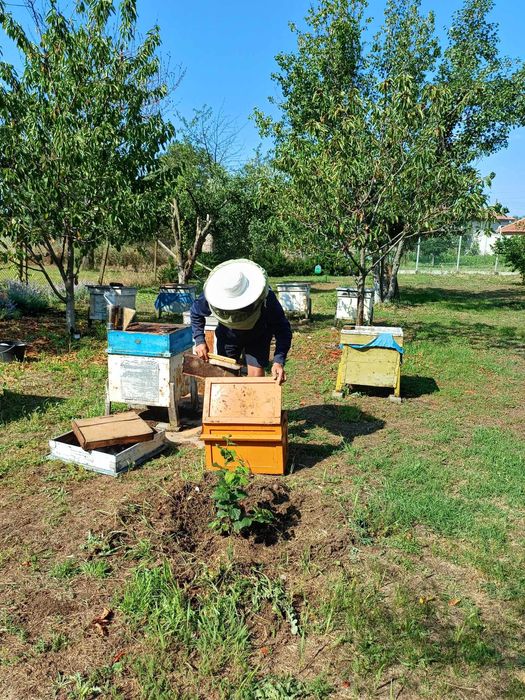 Продава се Парцел в Русе, Здравец Север 1 - 680 кв.м за 23 €/кв.м - Снимка #2