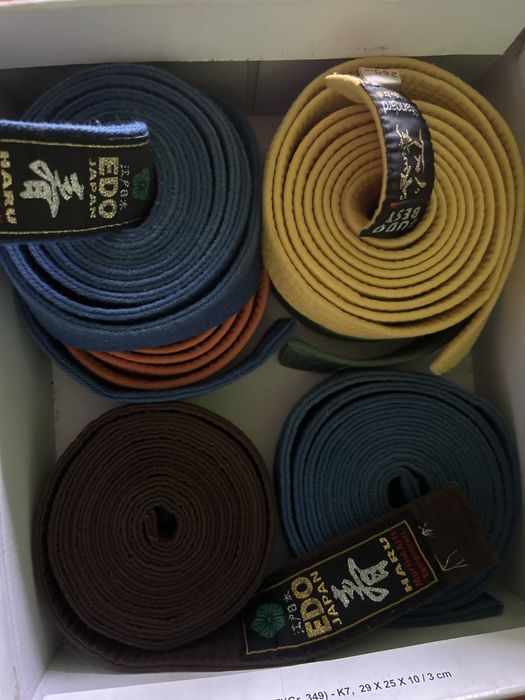 Centuri karate budo best/edo japan