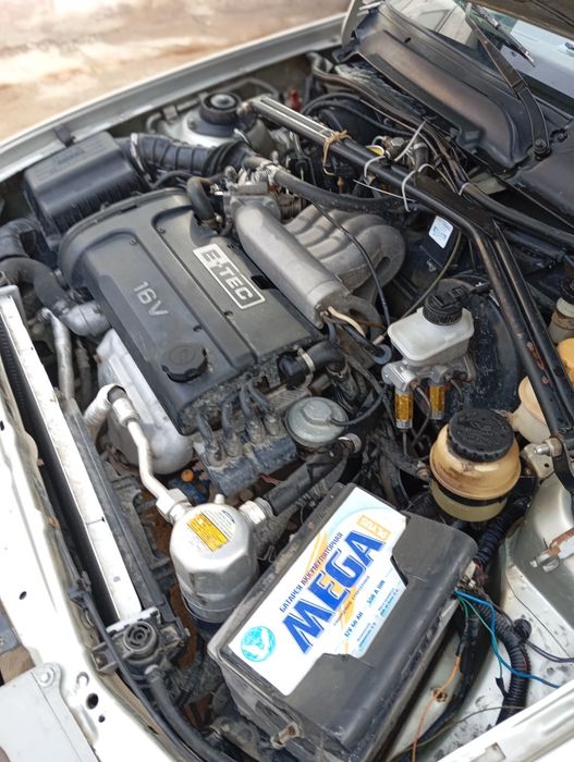 Nexia 1 dons seri metalik svet