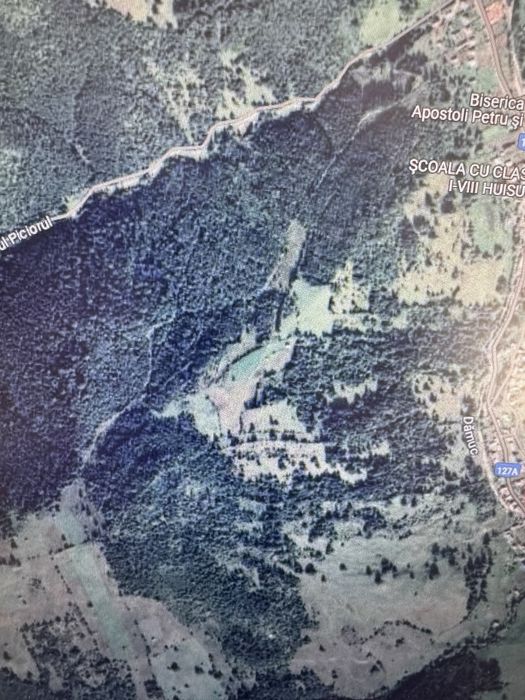 Vand padure 10 ha Damuc