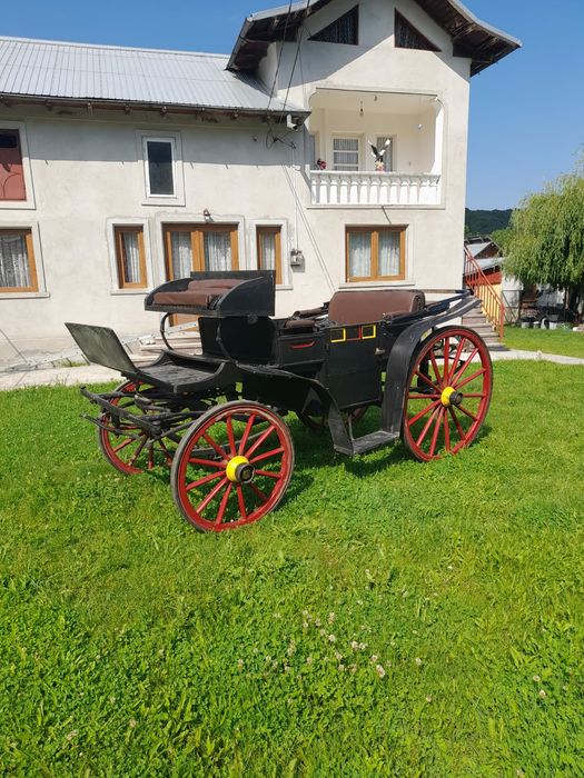 Vand trasura,doi cai!