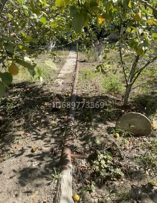 Продам дачу в Алмалах