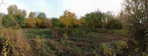 продам участок 10 соток