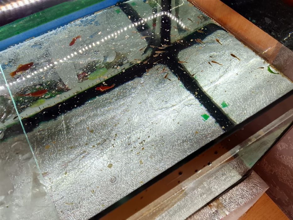 Аквариум с рыбками