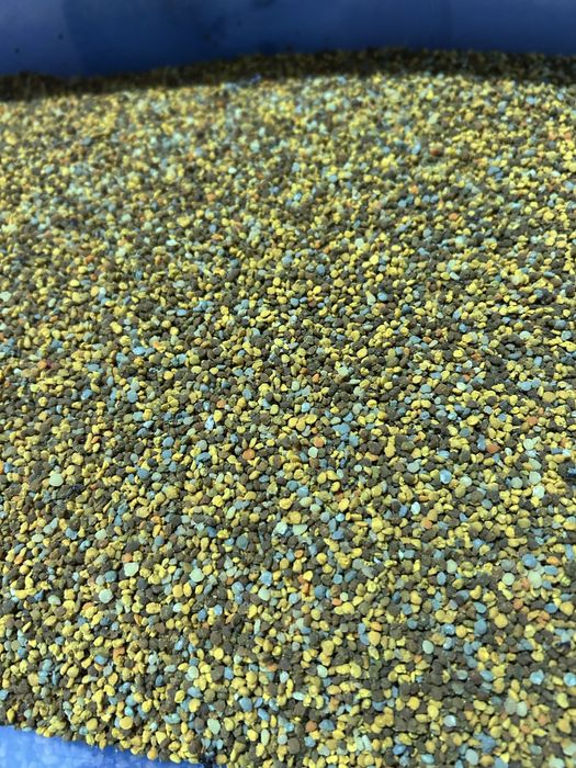 Polen crud poliflor din zona de munte