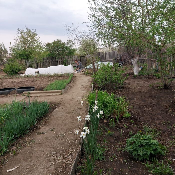 Продам дачу в садоводстве Нефтяник