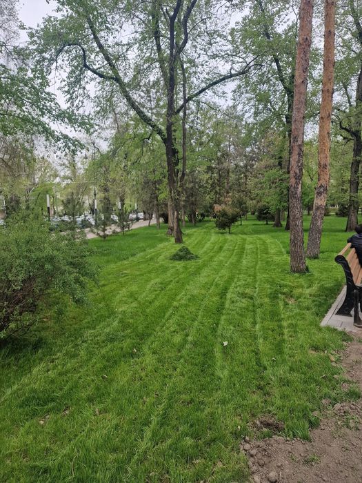 Гидропосев  газона