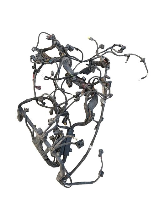 Instalatie Electrica Motor Mercedes-Benz S-Class Ii W221, C215 2005 -